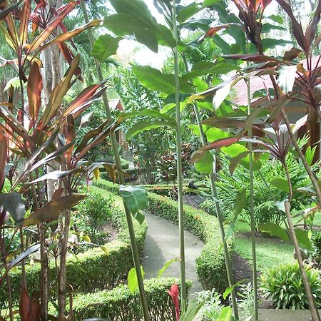 La Palapa Ecolodge Portalón Zewnętrze zdjęcie