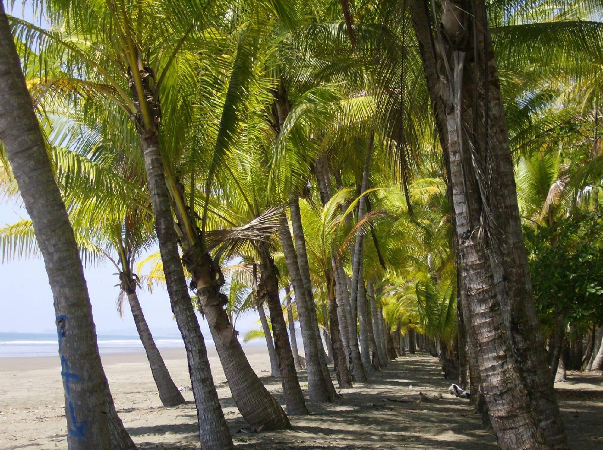 La Palapa Ecolodge Portalón Zewnętrze zdjęcie