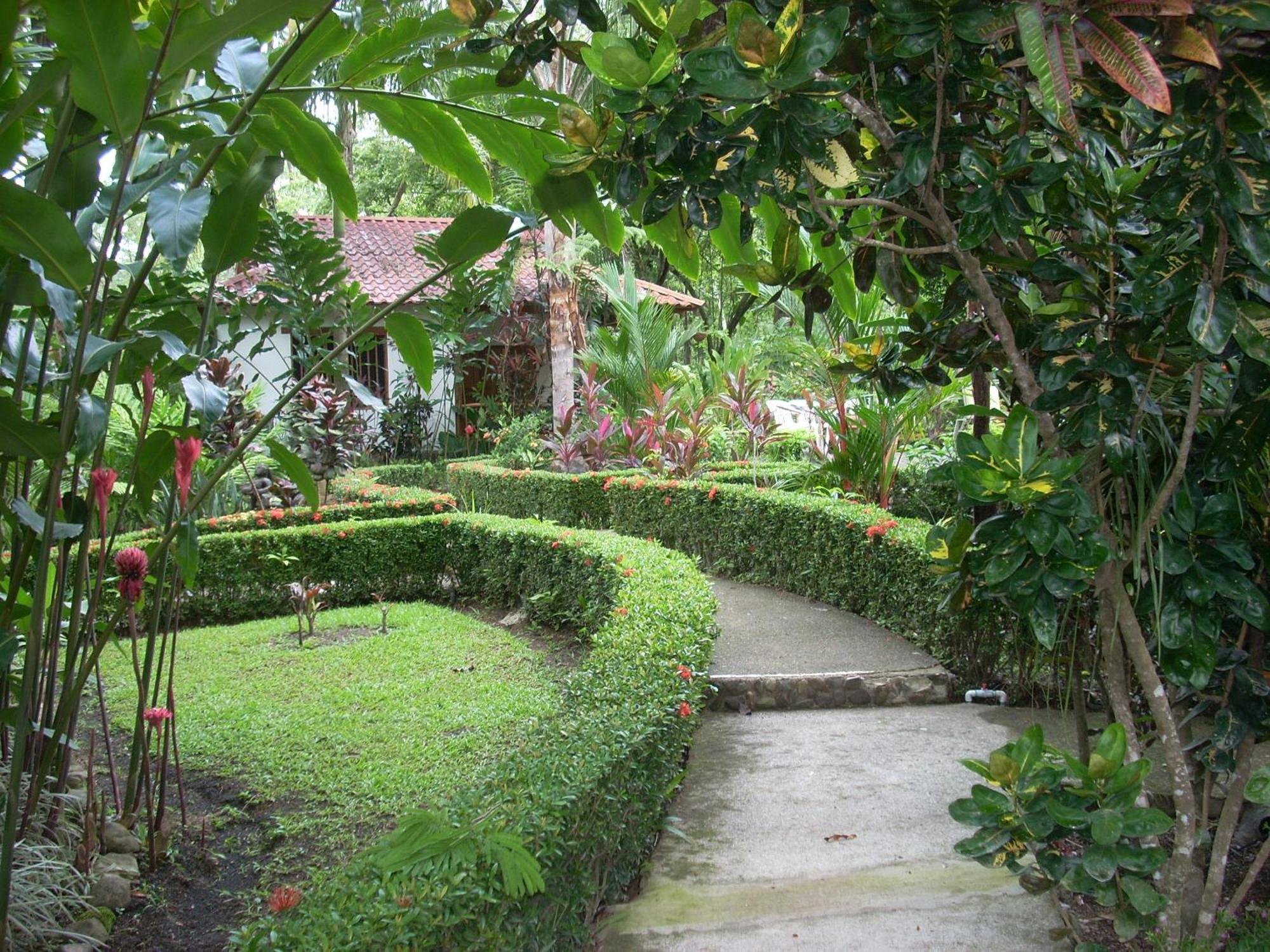 La Palapa Ecolodge Portalón Zewnętrze zdjęcie