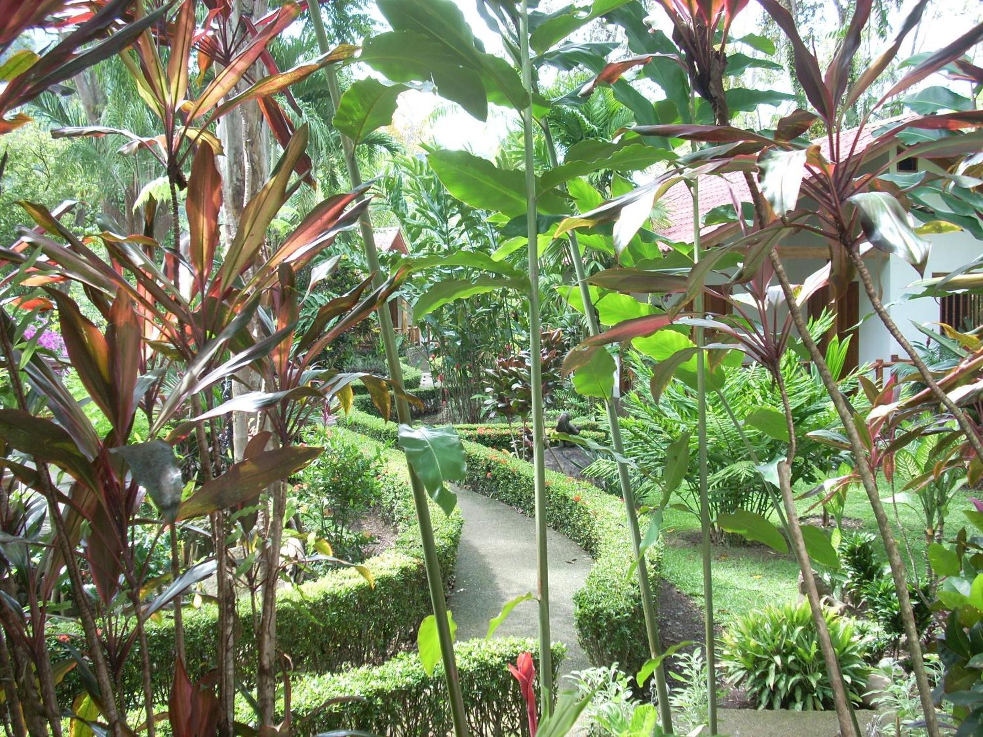 La Palapa Ecolodge Portalón Zewnętrze zdjęcie