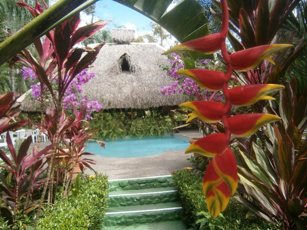 La Palapa Ecolodge Portalón Zewnętrze zdjęcie