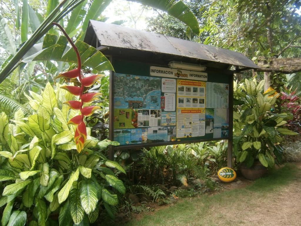 La Palapa Ecolodge Portalón Zewnętrze zdjęcie