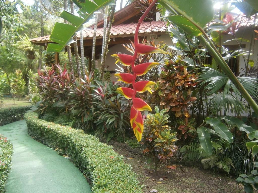La Palapa Ecolodge Portalón Zewnętrze zdjęcie