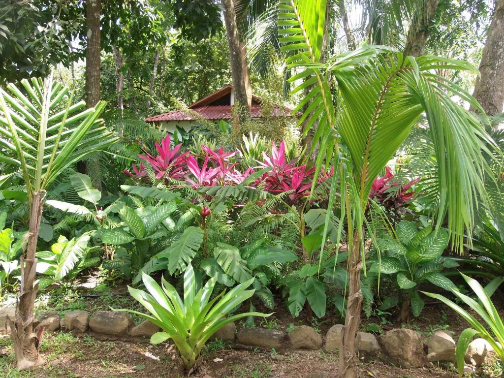 La Palapa Ecolodge Portalón Zewnętrze zdjęcie