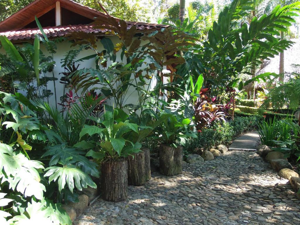 La Palapa Ecolodge Portalón Zewnętrze zdjęcie