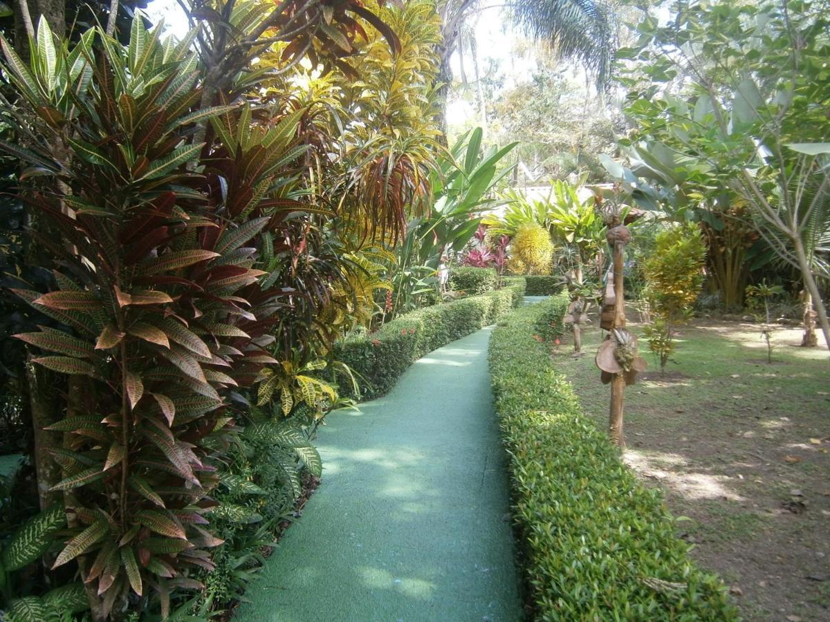 La Palapa Ecolodge Portalón Zewnętrze zdjęcie